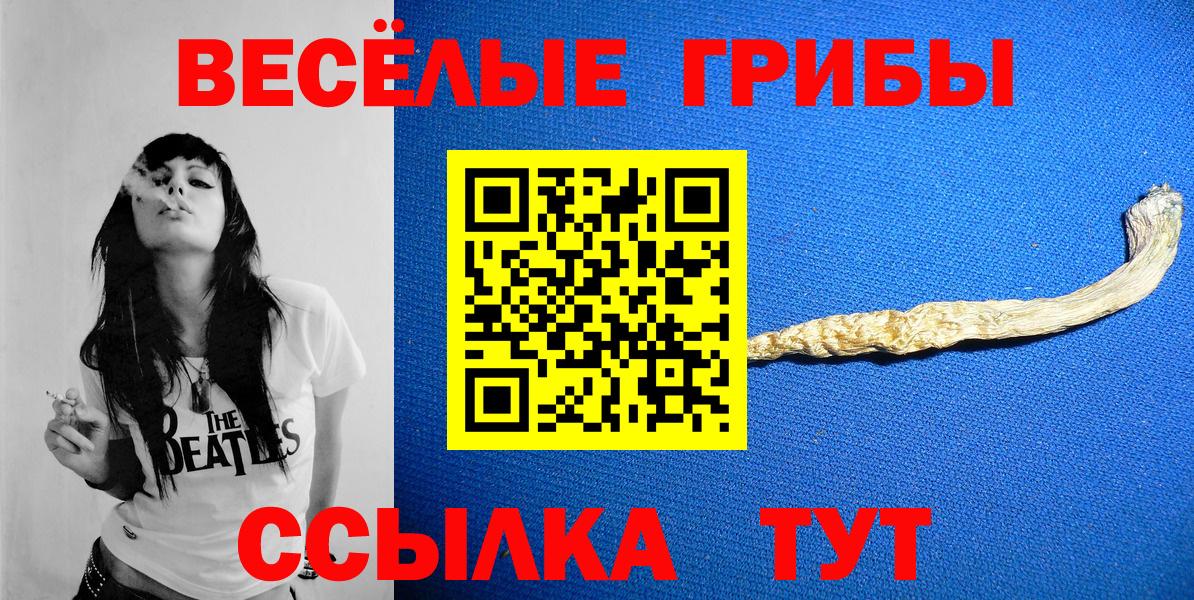 Донской  Псилоцибиновые грибы мицелий  Галлюциногенные грибы Cubensis  Вход с VPN 