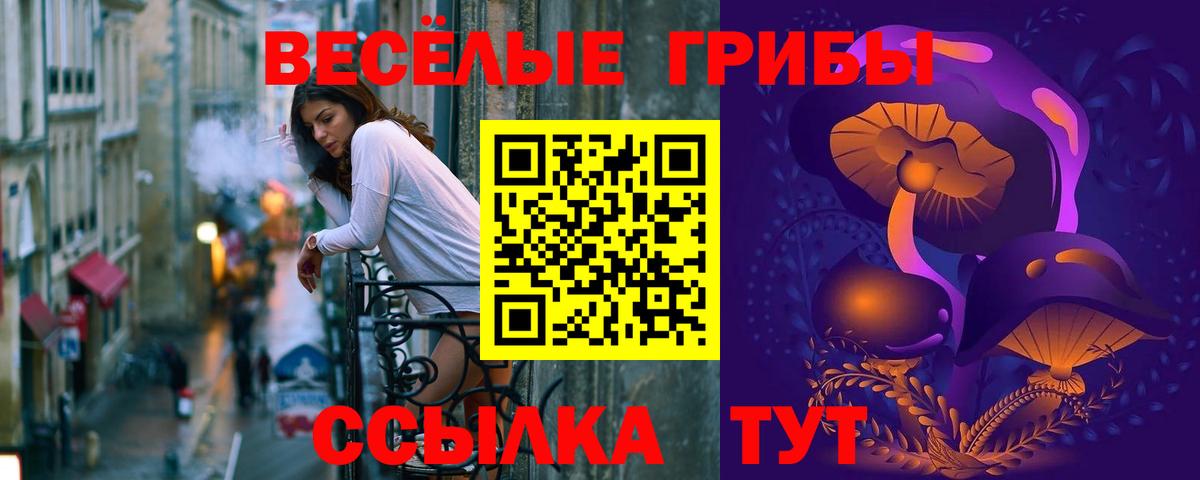 Псилоцибиновые грибы мухоморы Донской